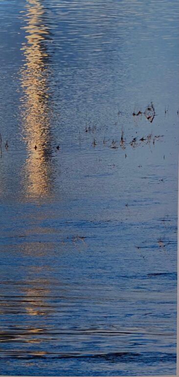 whenever an image appears to us - Wolfgang Spanier 