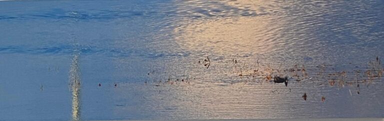 cattering throw clouds high in the southern air - Wolfgang Spanier 