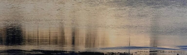 for light is immediately replaced with light - Wolfgang Spanier 