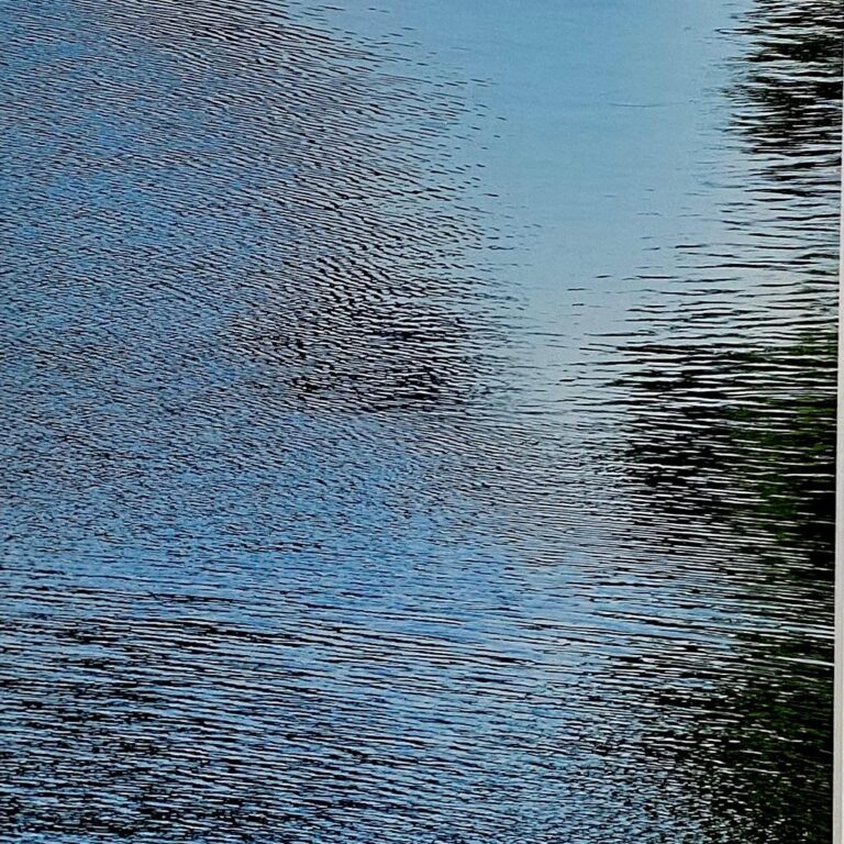 brightness is goaded on by brightness - Wolfgang Spanier 
