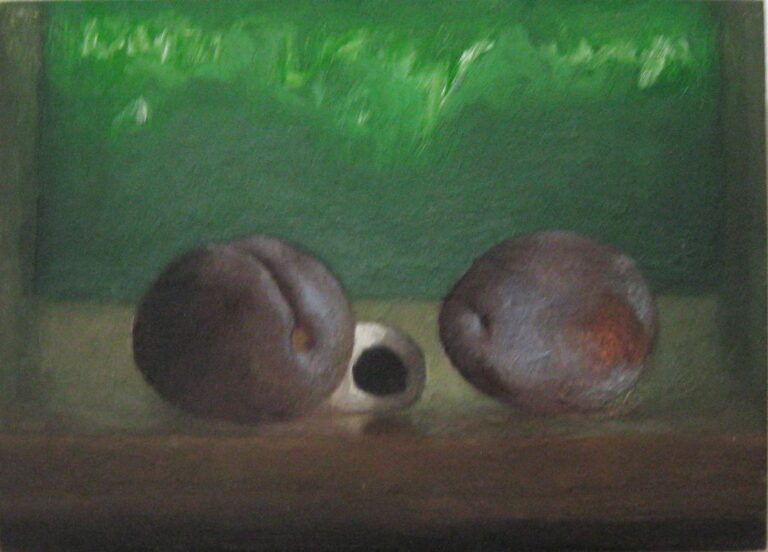 Doppelpflaumenstillleben - Stefan Höller 