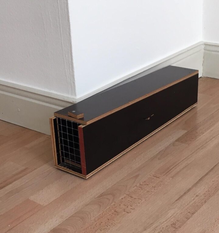 Wieselwippbtrettfalle - Andreas Slominski 