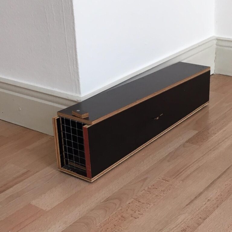 Wieselwippbtrettfalle - Andreas Slominski 