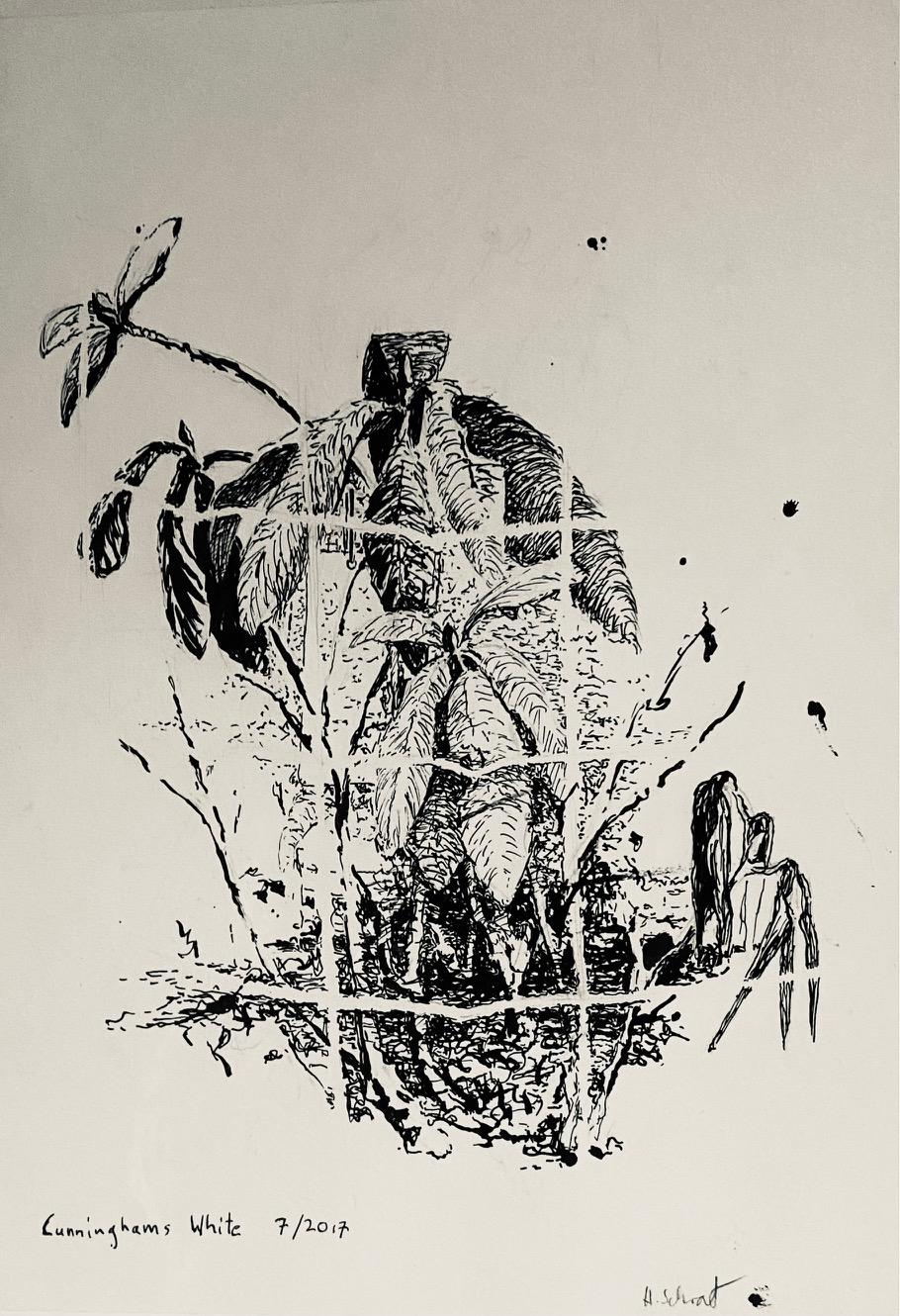 Cunnuhams White Band 3 / 244 - Henrik Schrat 