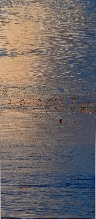 as they swimm thrrough th air - Wolfgang Spanier 