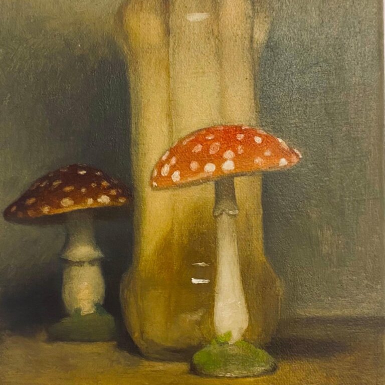 Spargel mit Fliegenpilzen - Stefan Höller 
