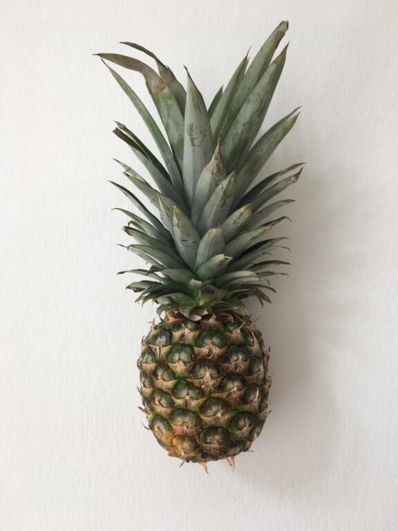 Stilleben - Andreas Slominski, Ayse Erkmen, Karin Sander, Manfred Holtfrerich, Mona Hatoum, Thomas Ruff, Thomas Schütte, Wiebke Siem 