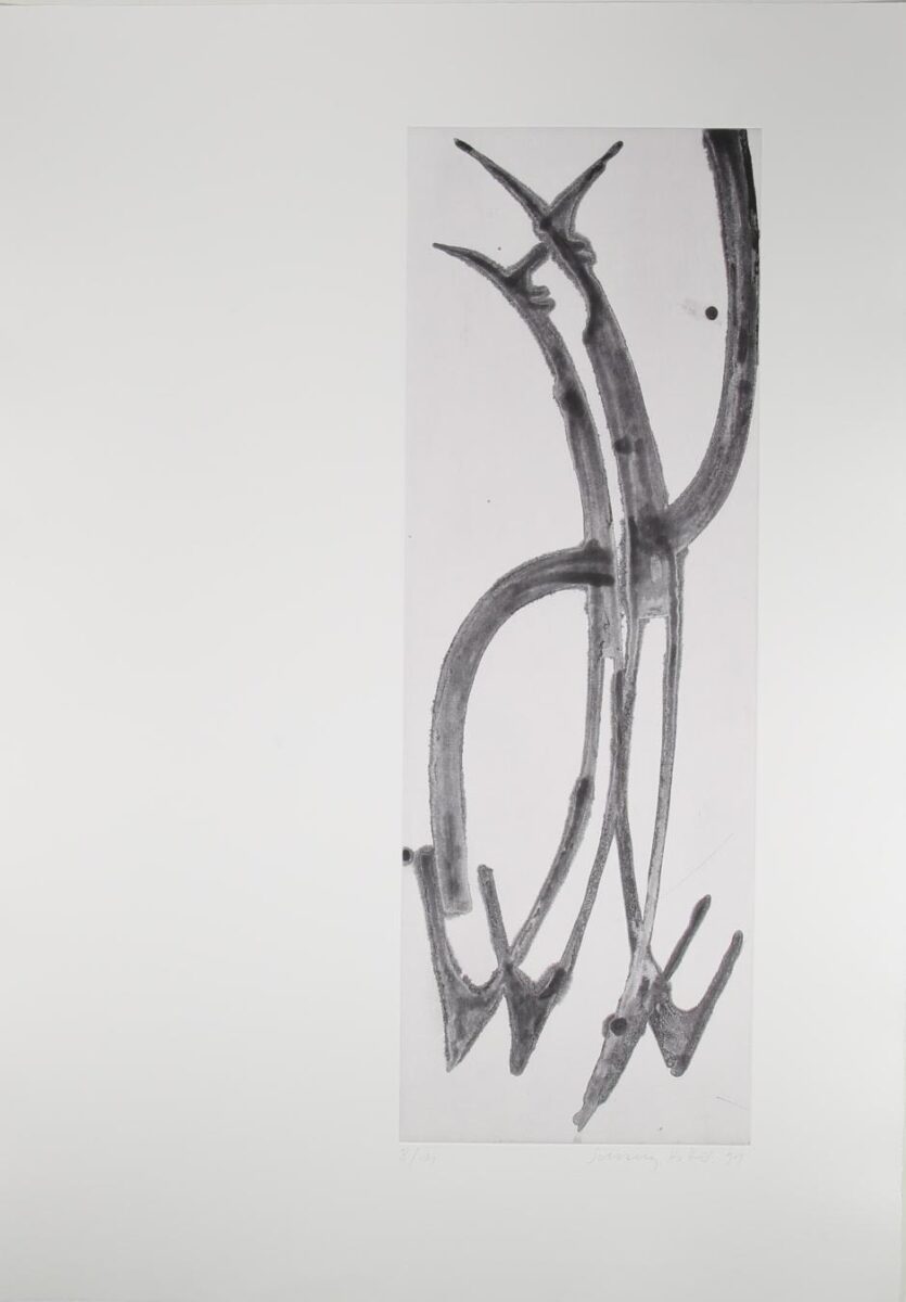 “Ohne Titel” - Schang Hutter Schang Hutter