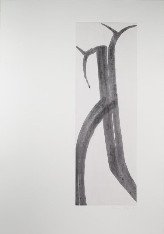 “Ohne Titel” - Schang Hutter Schang Hutter