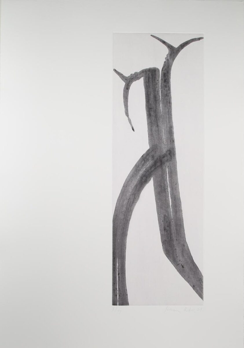 “Ohne Titel” - Schang Hutter Schang Hutter