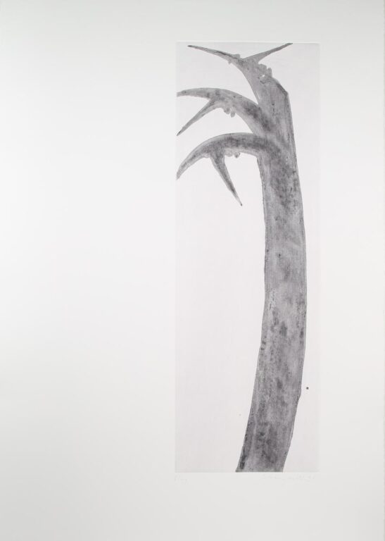 “Ohne Titel” - Schang Hutter Schang Hutter