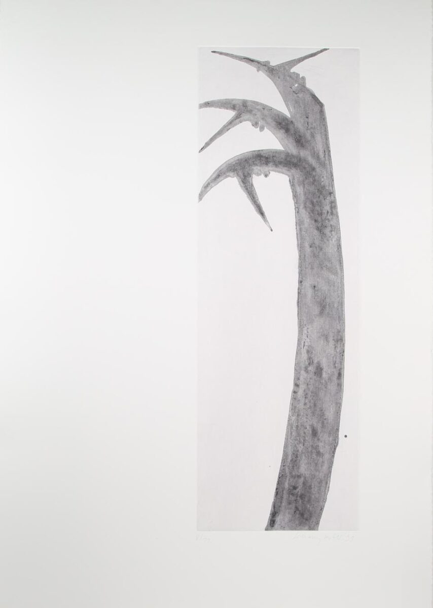 “Ohne Titel” - Schang Hutter Schang Hutter