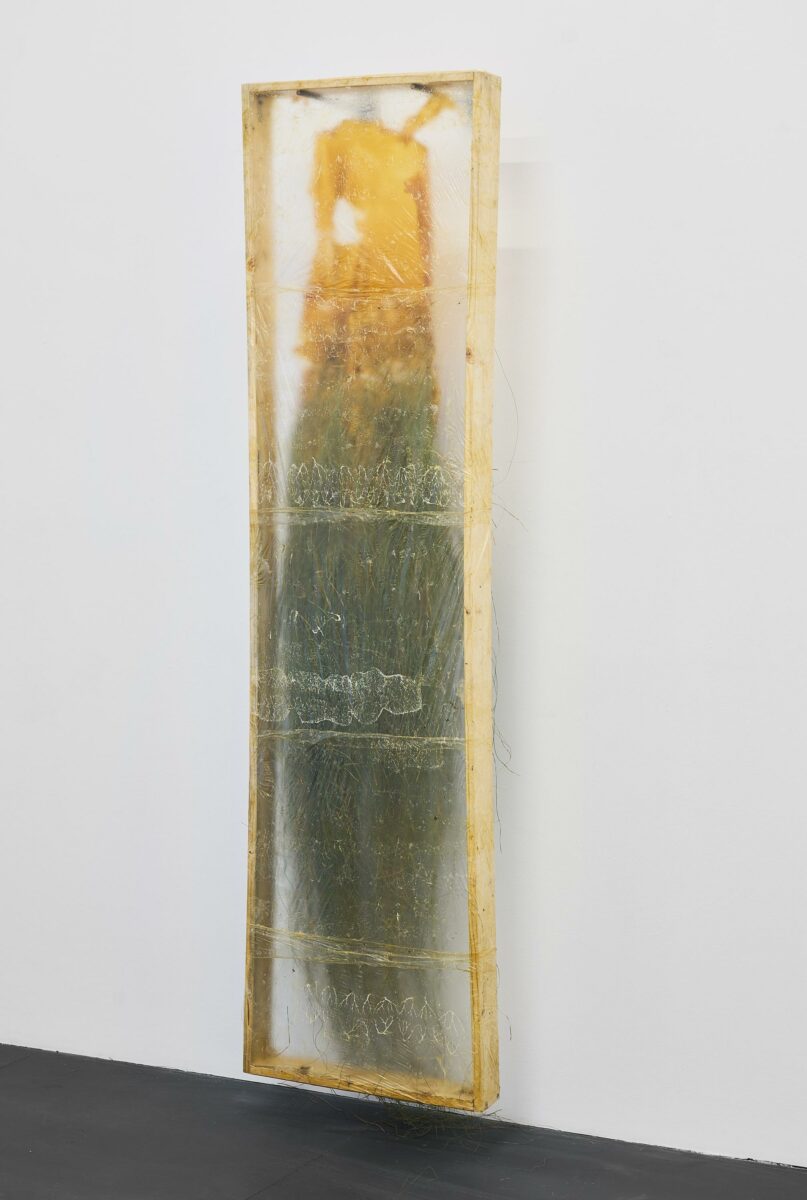 gra - Mara Sandrock 