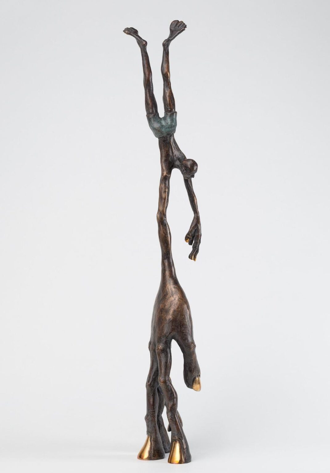 Herr Konfidenz - Tim David Trillsam 