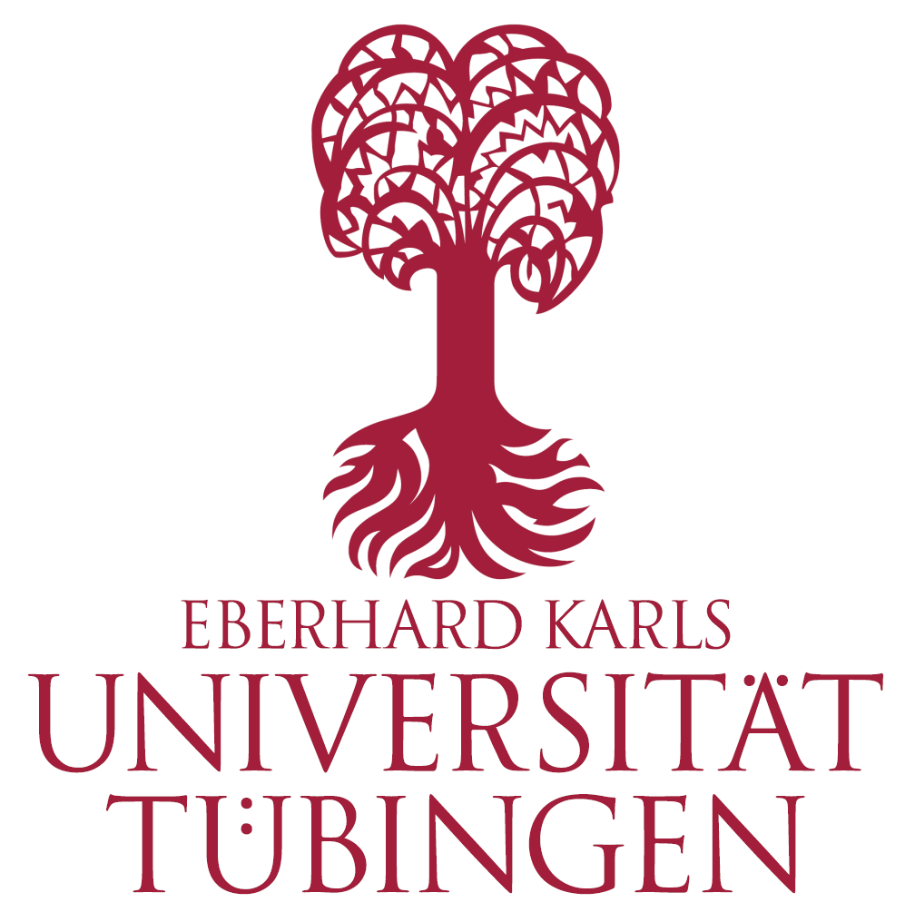 Vortrag von Prof. Dr. Stefan Haupt an der Universit&auml;t T&uuml;bingen 