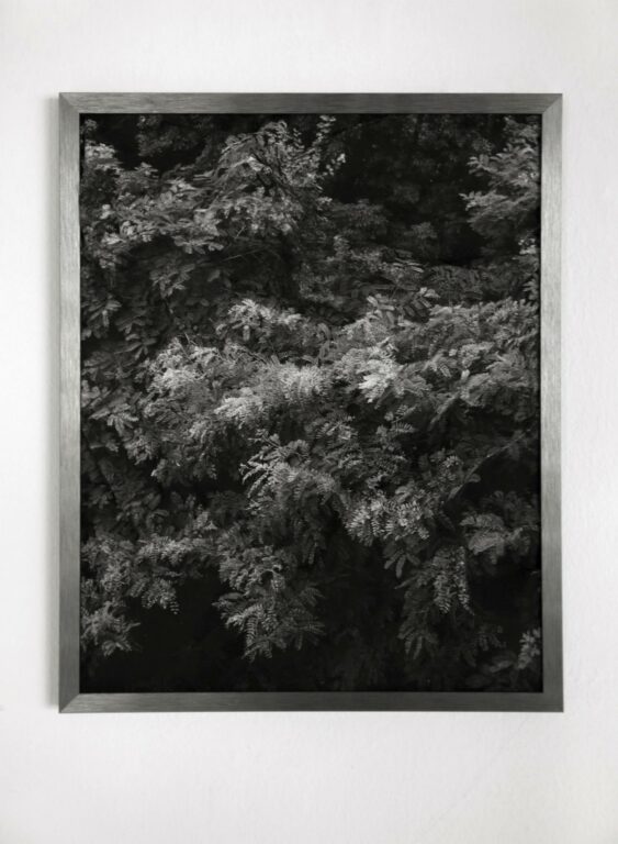 Annäherung II (approach II) - Sybille Neumeyer 