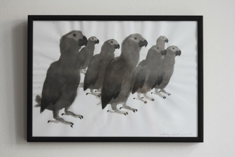 talking-back-parrots - Daniela Gugg 