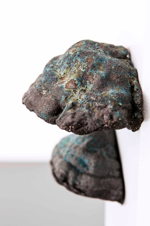 Parasite - Nils Blau 