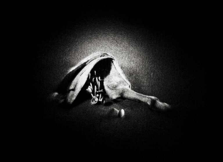 Camera obscura - Luzia Simons 