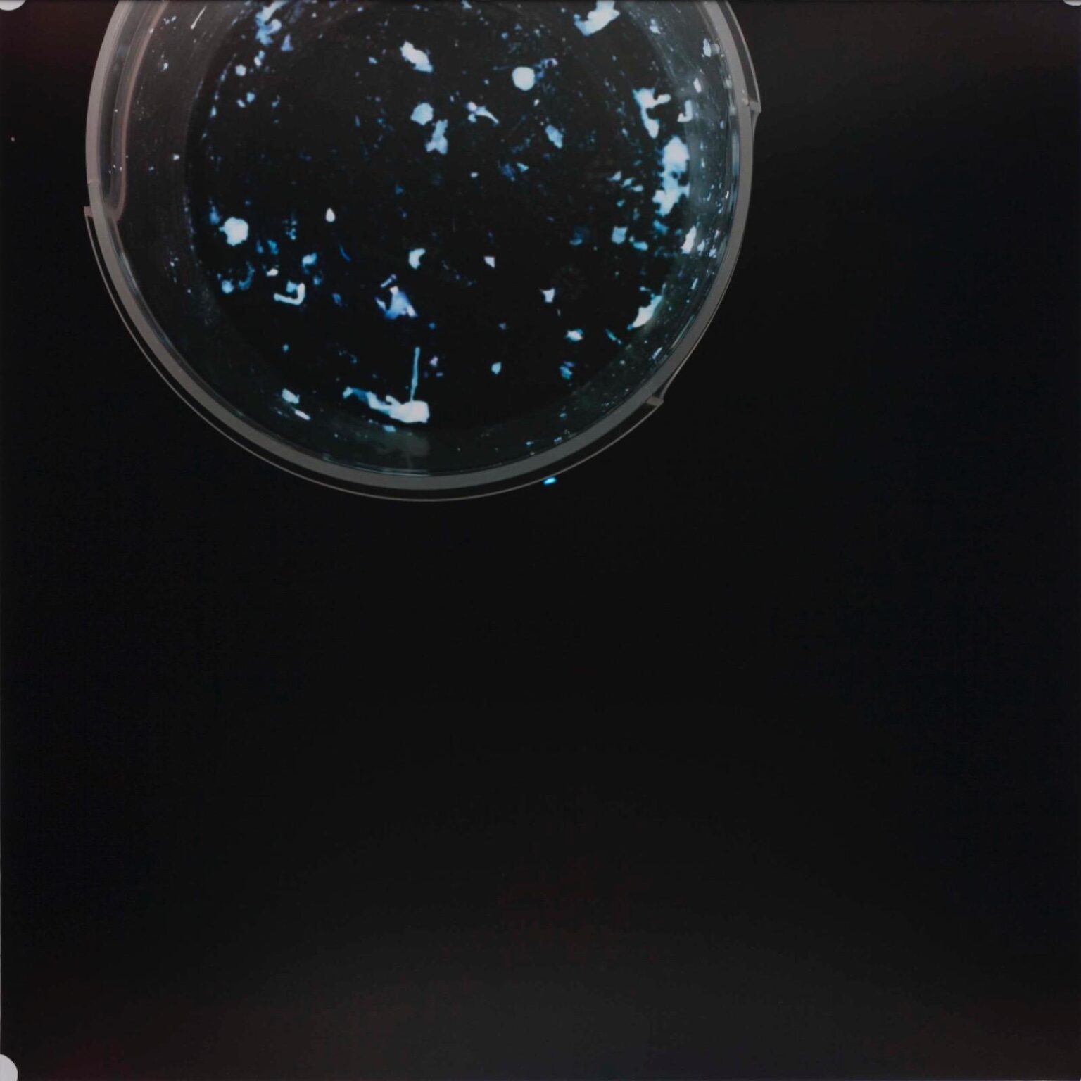 Untitled (from the Dematerialization of the everyday series) - Marta Djourina 