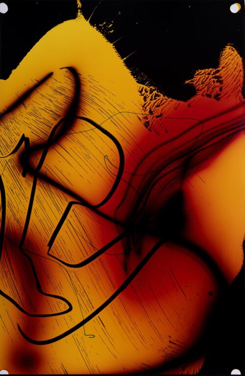 Untitled - Marta Djourina 