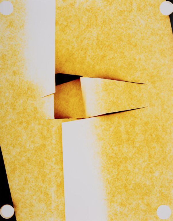Untitled - Marta Djourina 