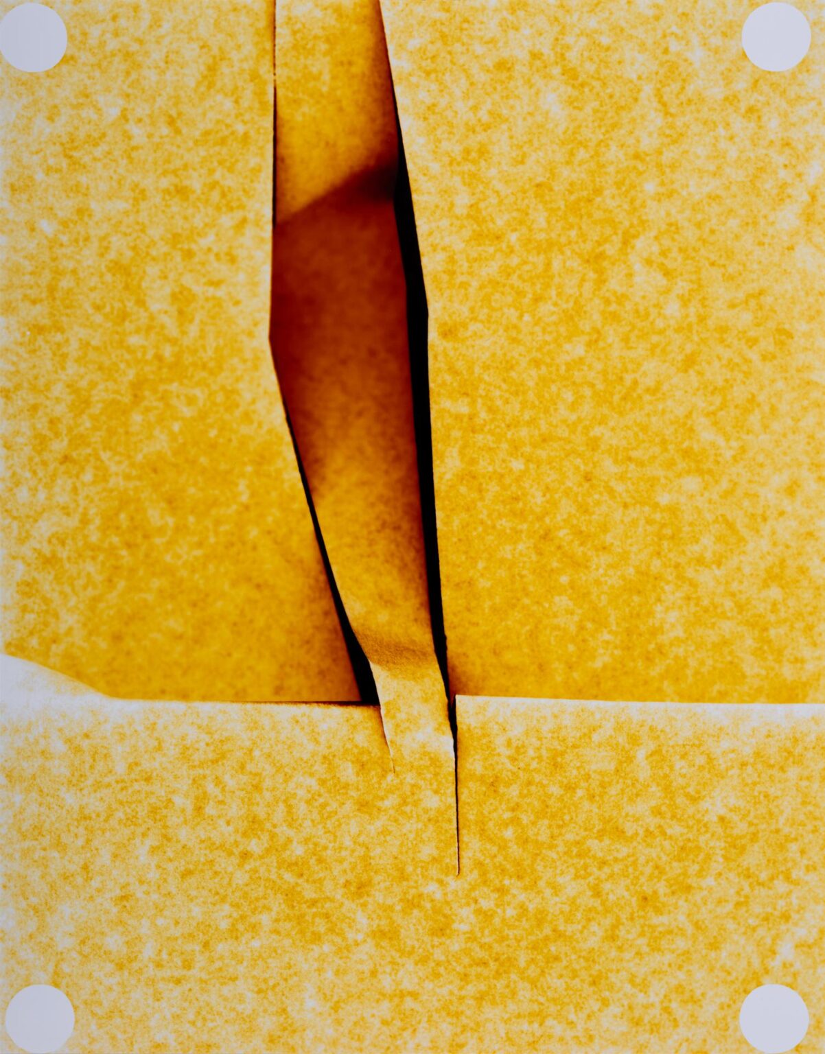 Untitled - Marta Djourina 
