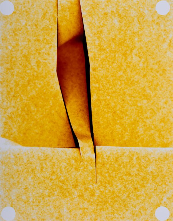 Untitled - Marta Djourina 