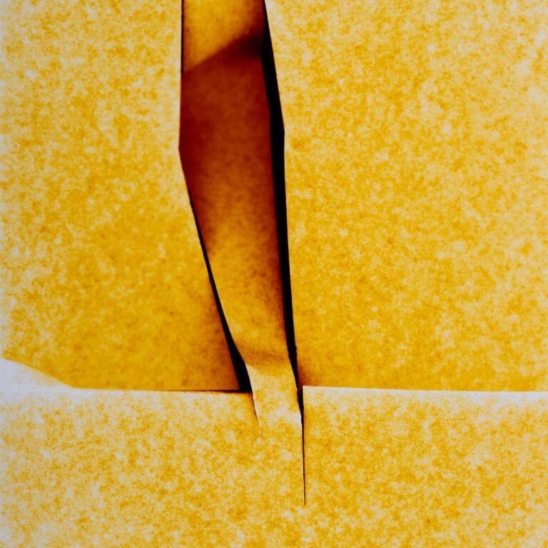 Untitled - Marta Djourina 