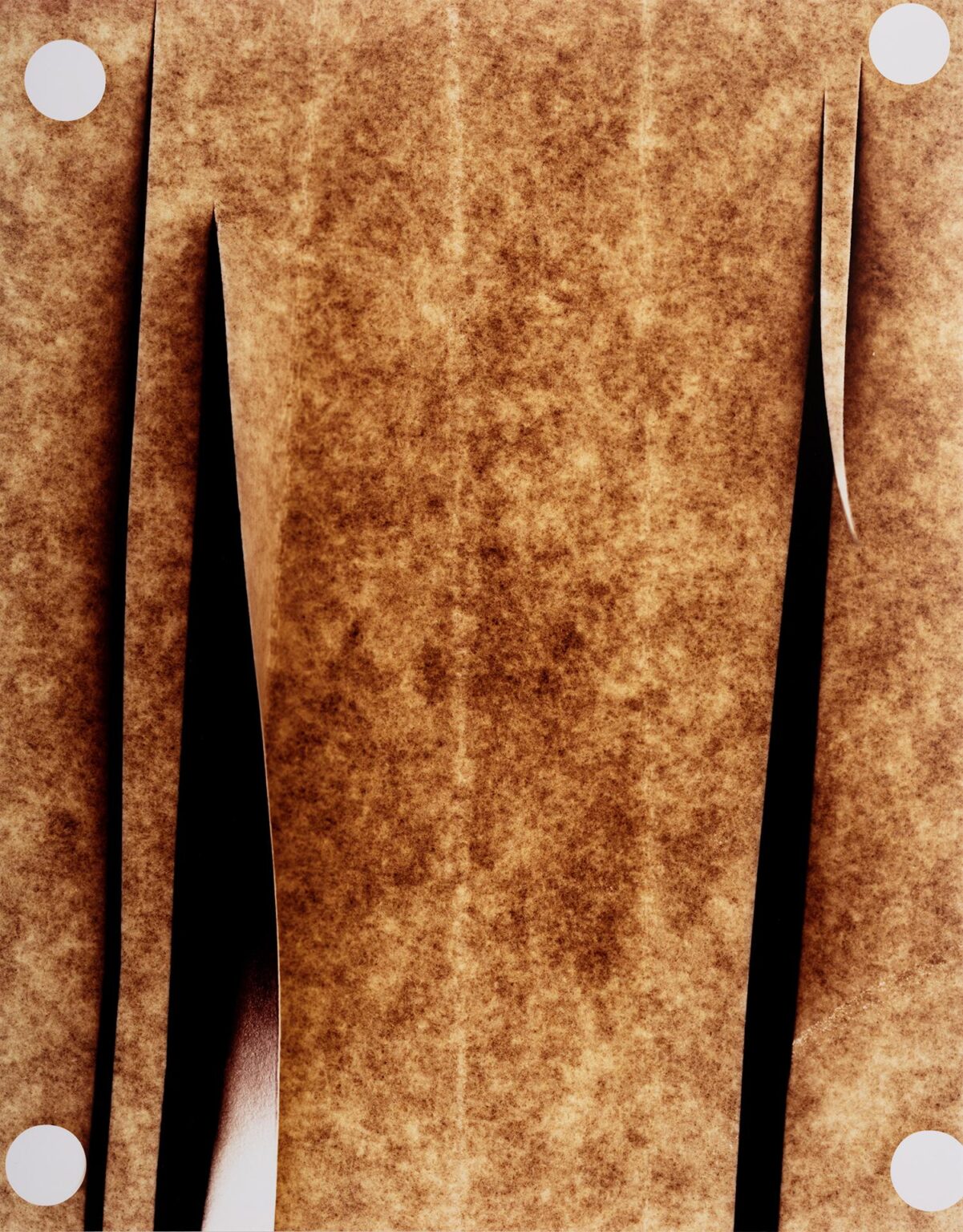 Untitled - Marta Djourina 