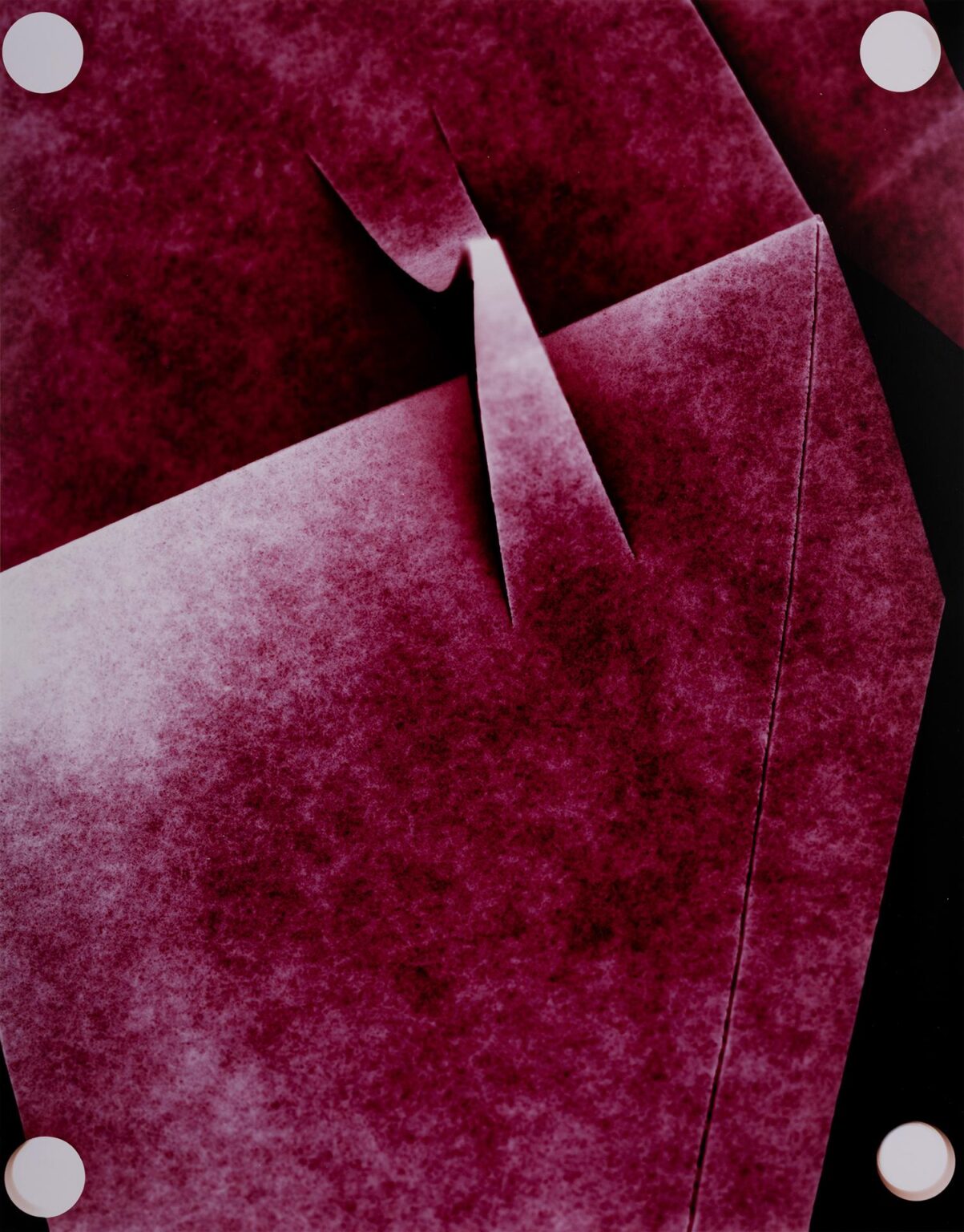Untitled - Marta Djourina 