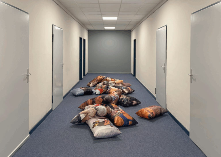 Porn pillows - Valentin Frisch 