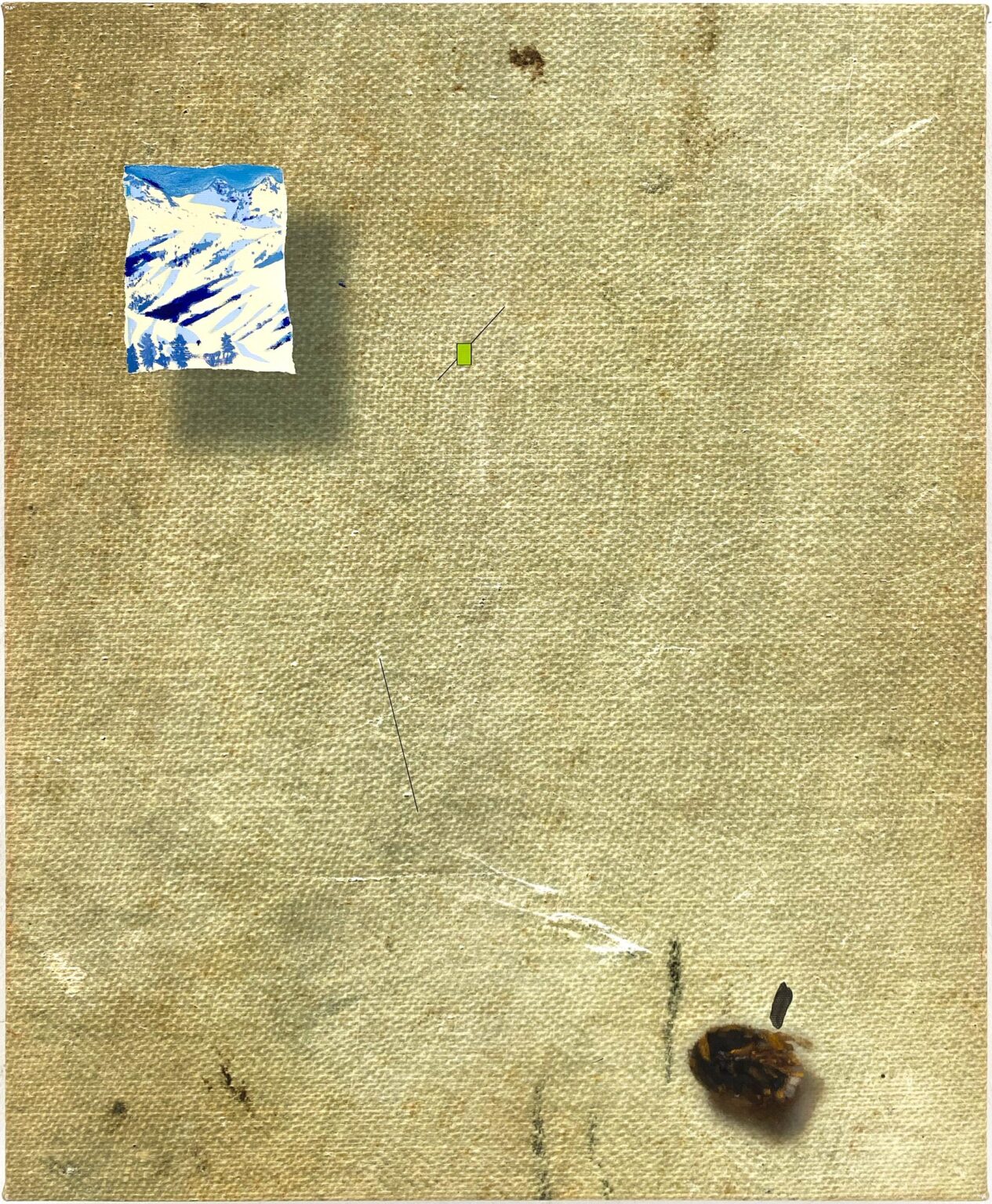 Untitled - Juliette Kovàcs 