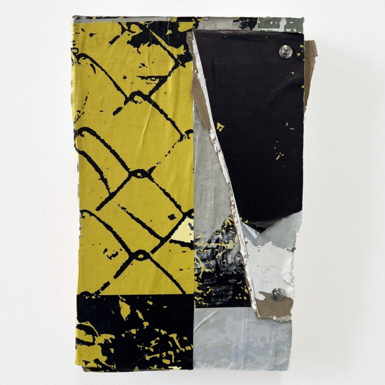 Desirelines_fragment X - Julien Hübsch 