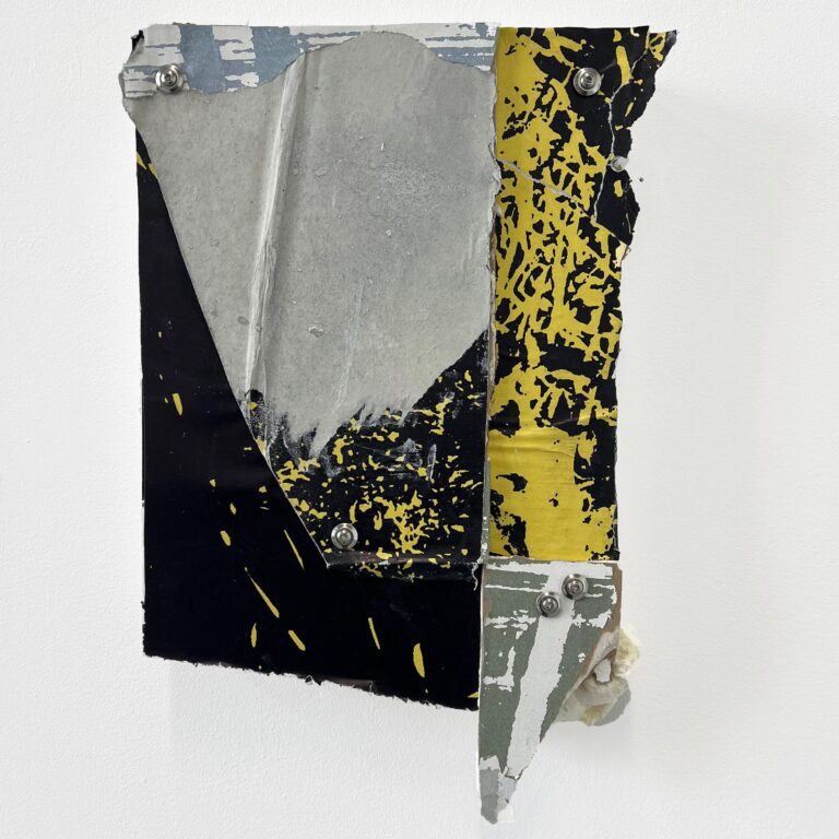 Desirelines_fragment Y - Julien Hübsch 