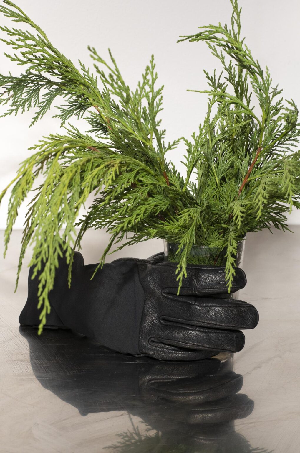 Blackmail, Magical Rage - Clara Bahlsen 