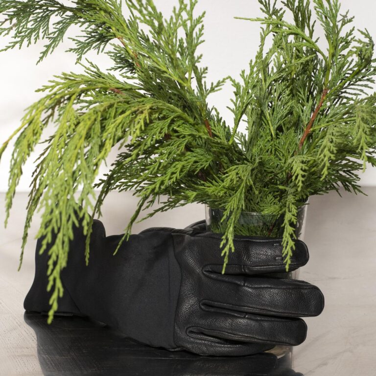 Blackmail, Magical Rage - Clara Bahlsen 