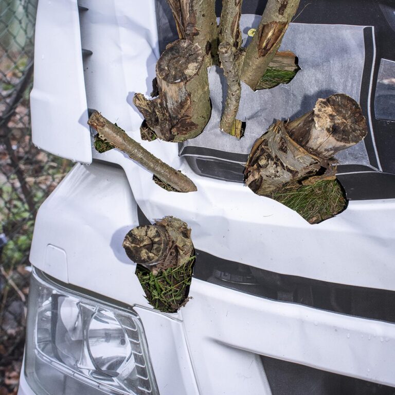 Vergiß es, Magical Rage - Clara Bahlsen 