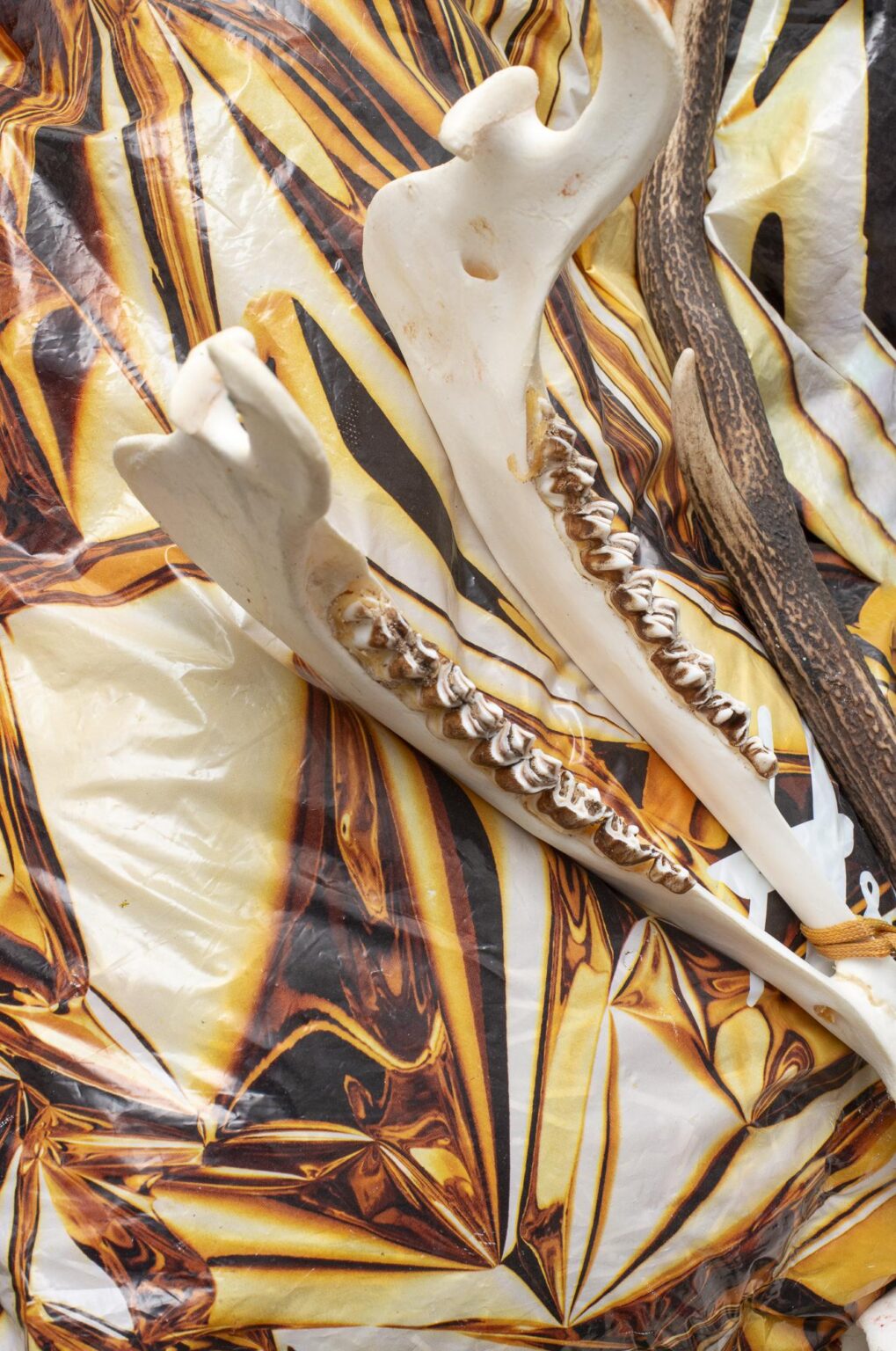 Meinungsverst&auml;rker, Magical Rage - Clara Bahlsen 