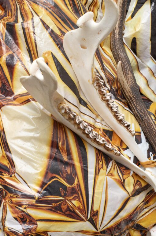 Meinungsverstärker, Magical Rage - Clara Bahlsen 