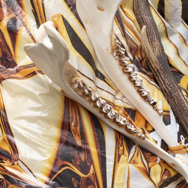 Meinungsverstärker, Magical Rage - Clara Bahlsen 