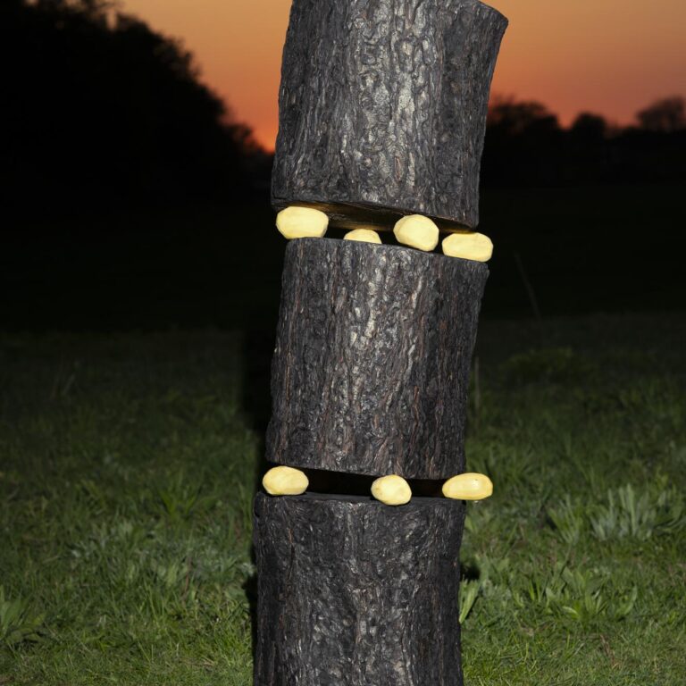 Knappe Angelegenheit, Magical Rage - Clara Bahlsen 