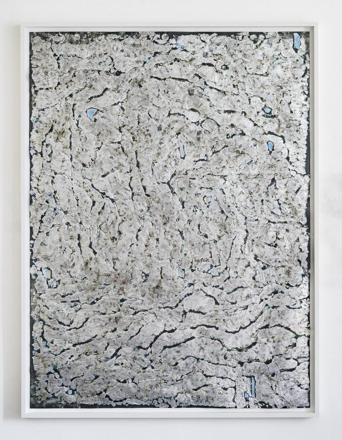 Untitled - Jo&atilde;o Freitas 