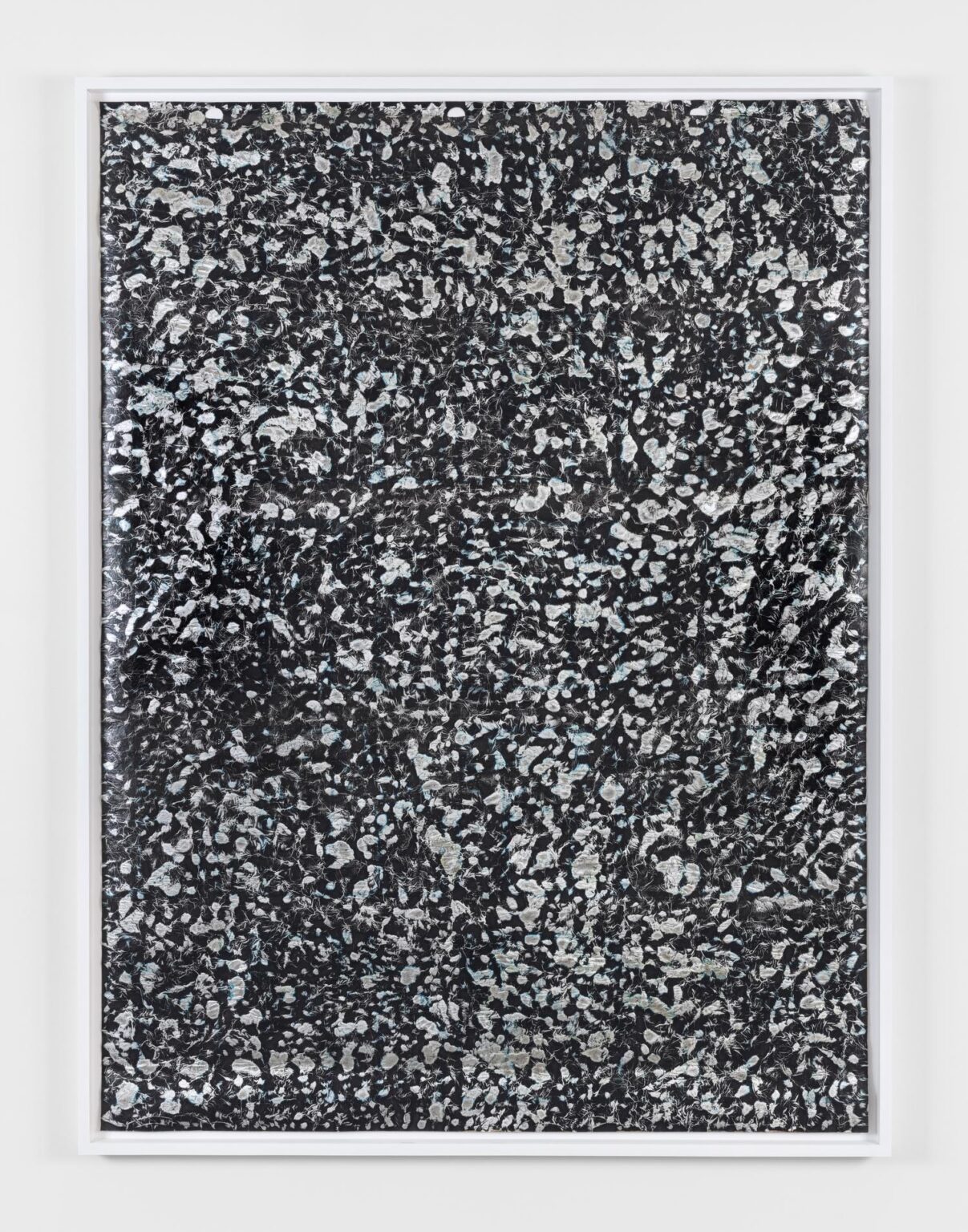 Untitled - Jo&atilde;o Freitas 