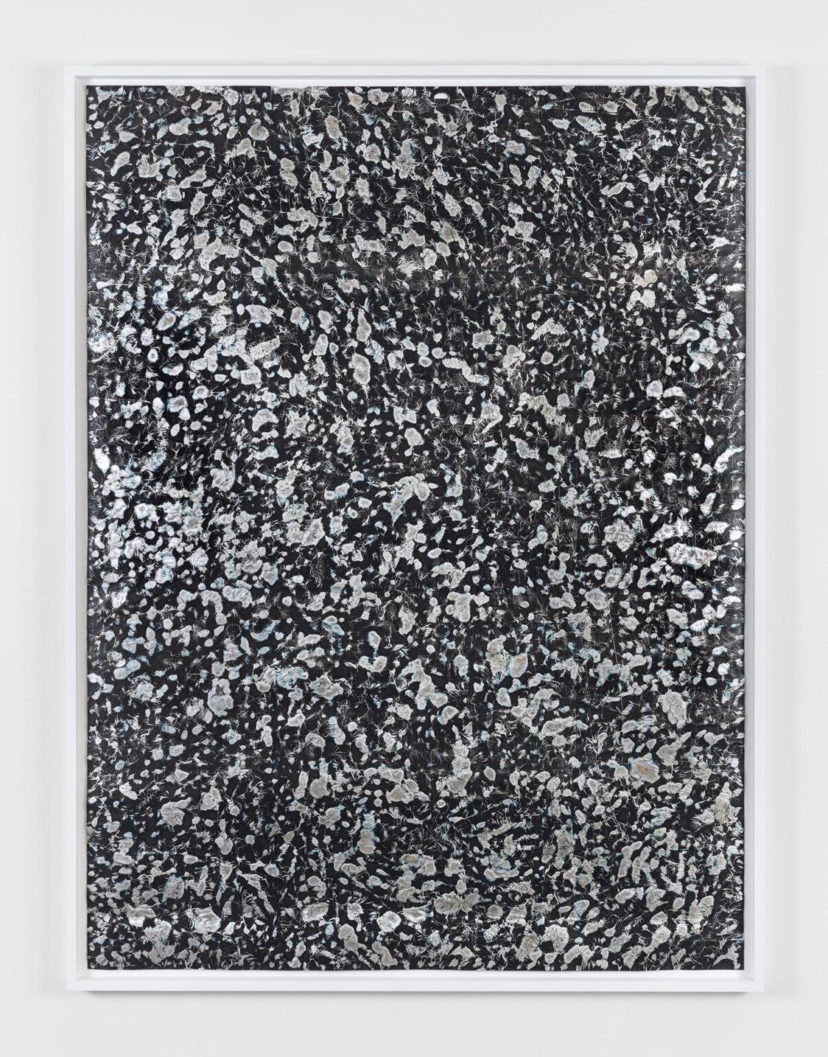 Untitled - Jo&atilde;o Freitas 