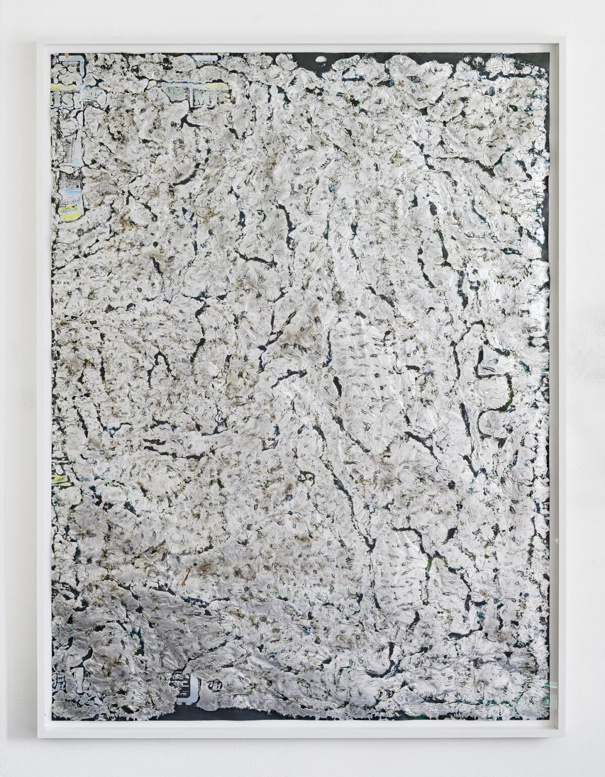 Untitled - Jo&atilde;o Freitas 