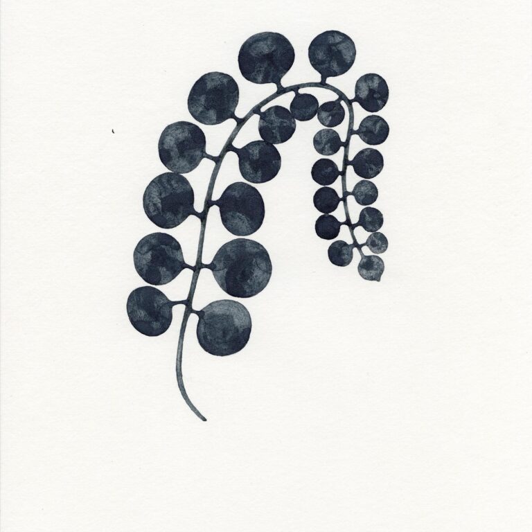 Untitled (Z25_105) - Astrid Köppe 