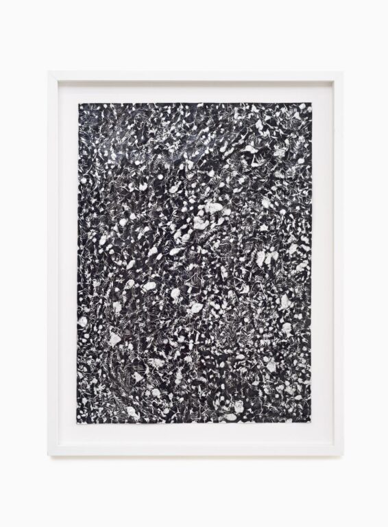 Untitled - João Freitas 