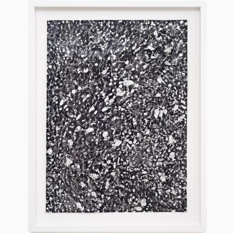 Untitled - João Freitas 