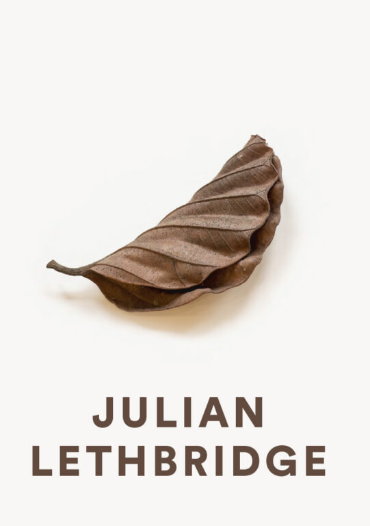 Julian Lethbridge 
